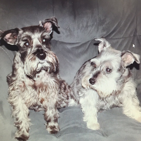 Meet your Posher, Terri - Picture 2 of 12